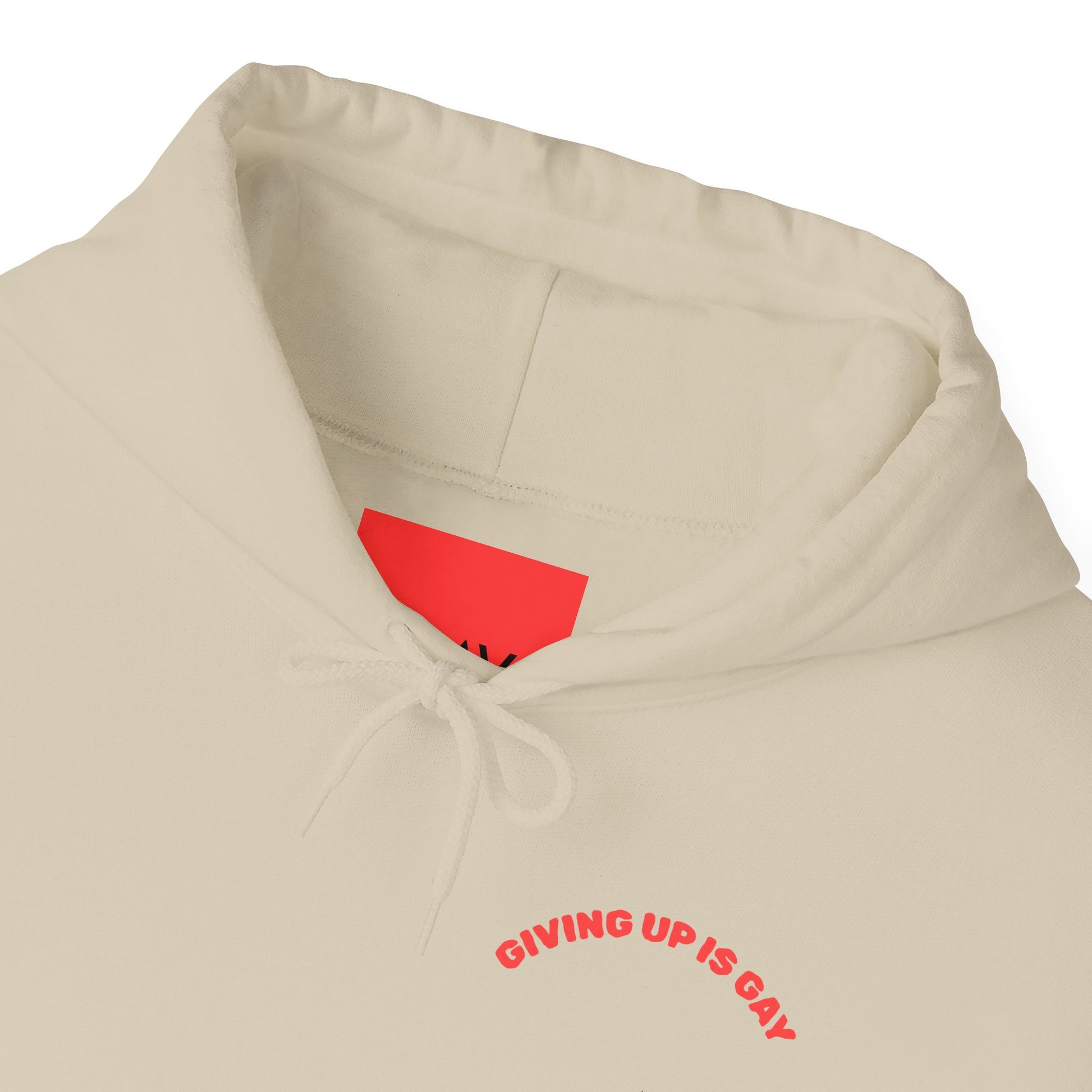 (GIVING UP IS GAY) HOODIE